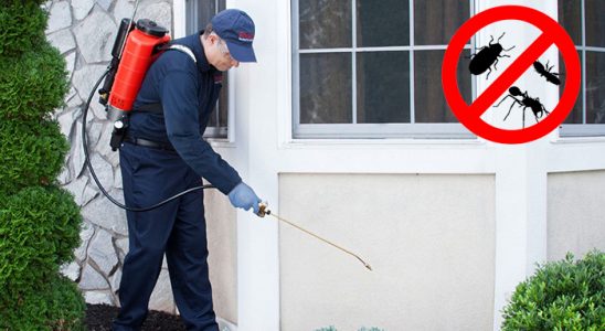 Besni Dezenfeksiyon böcek ilaçlama ve haşere kontrolü — ilaclama-tr.com